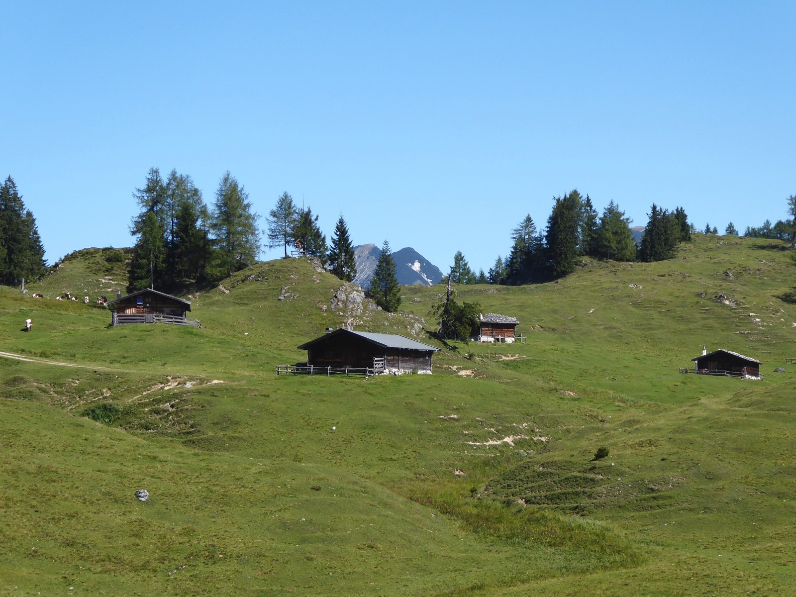 Die Hütten der Thälernalm mit dem Thälerer Kogel, im Hintergrund das Sonntagshorn.