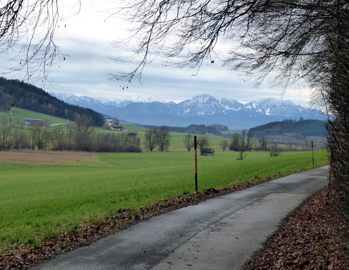 Am Weg zum Hof Grub mit dem Blick über das Oichtental auf die Berchtesgadener Alpen.