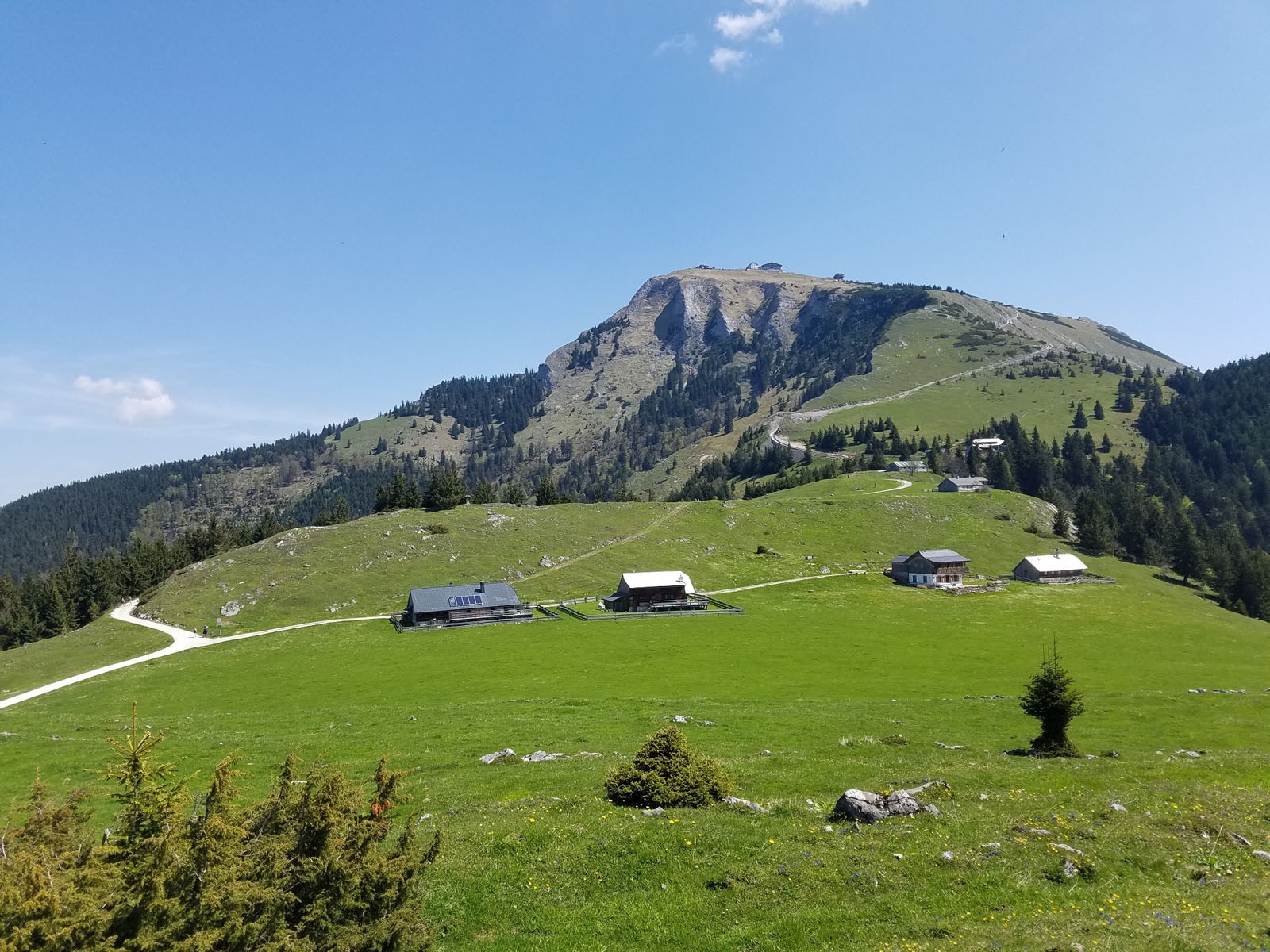 Der Blick vom einsamen Aignerriedel (1326 m) über die Schafbergalmen auf den Schafberg.