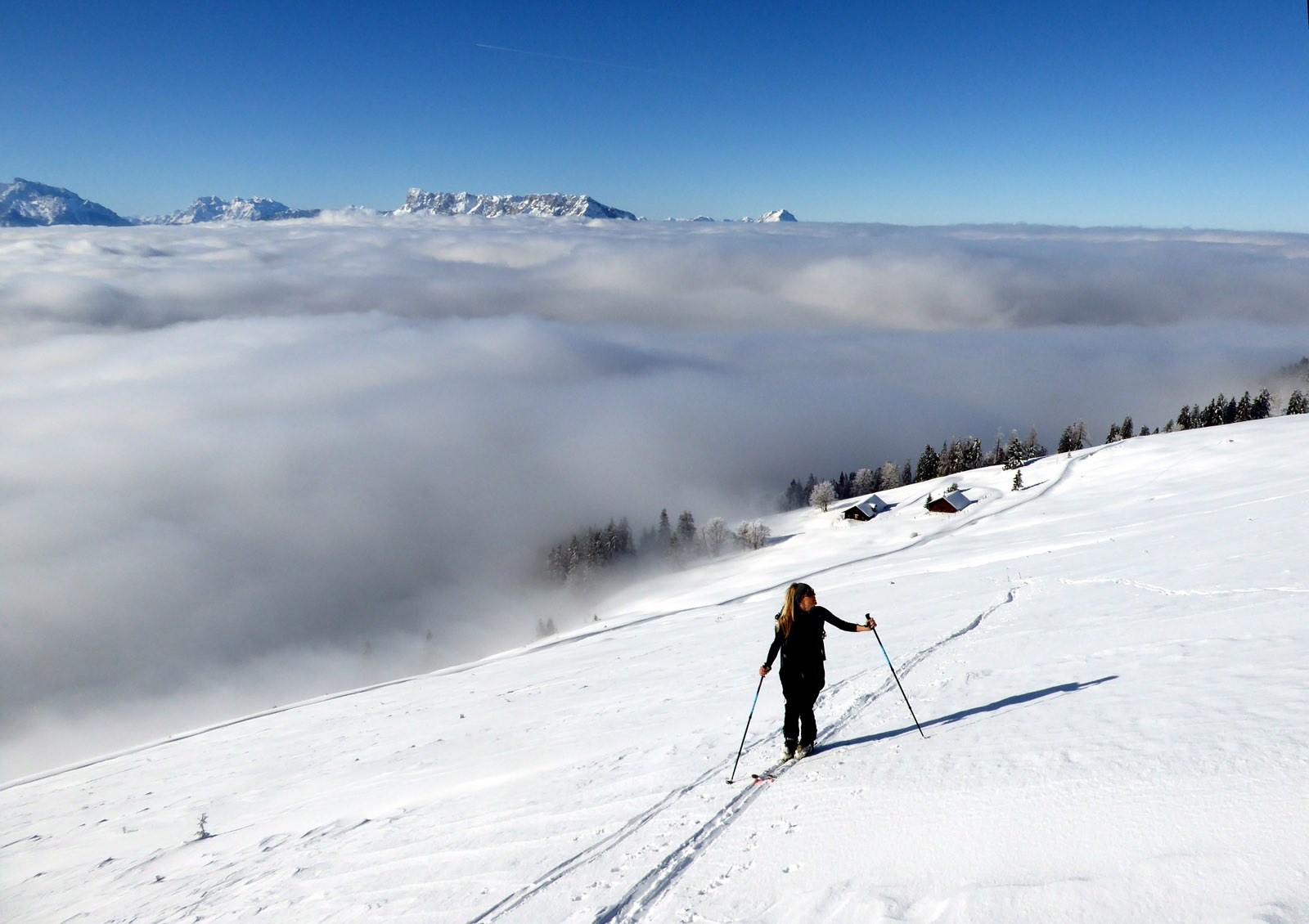 Der direkte Anstieg auf das Eibleck zweigt vor der Alm auf den Gipfelhang nach rechts ab.