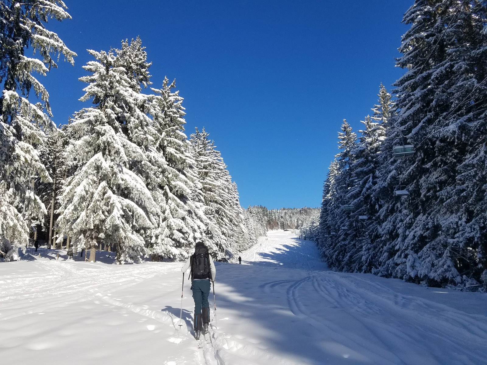 Die Spielbergalm am Ende der Schneise ist schon in Sichtweite.