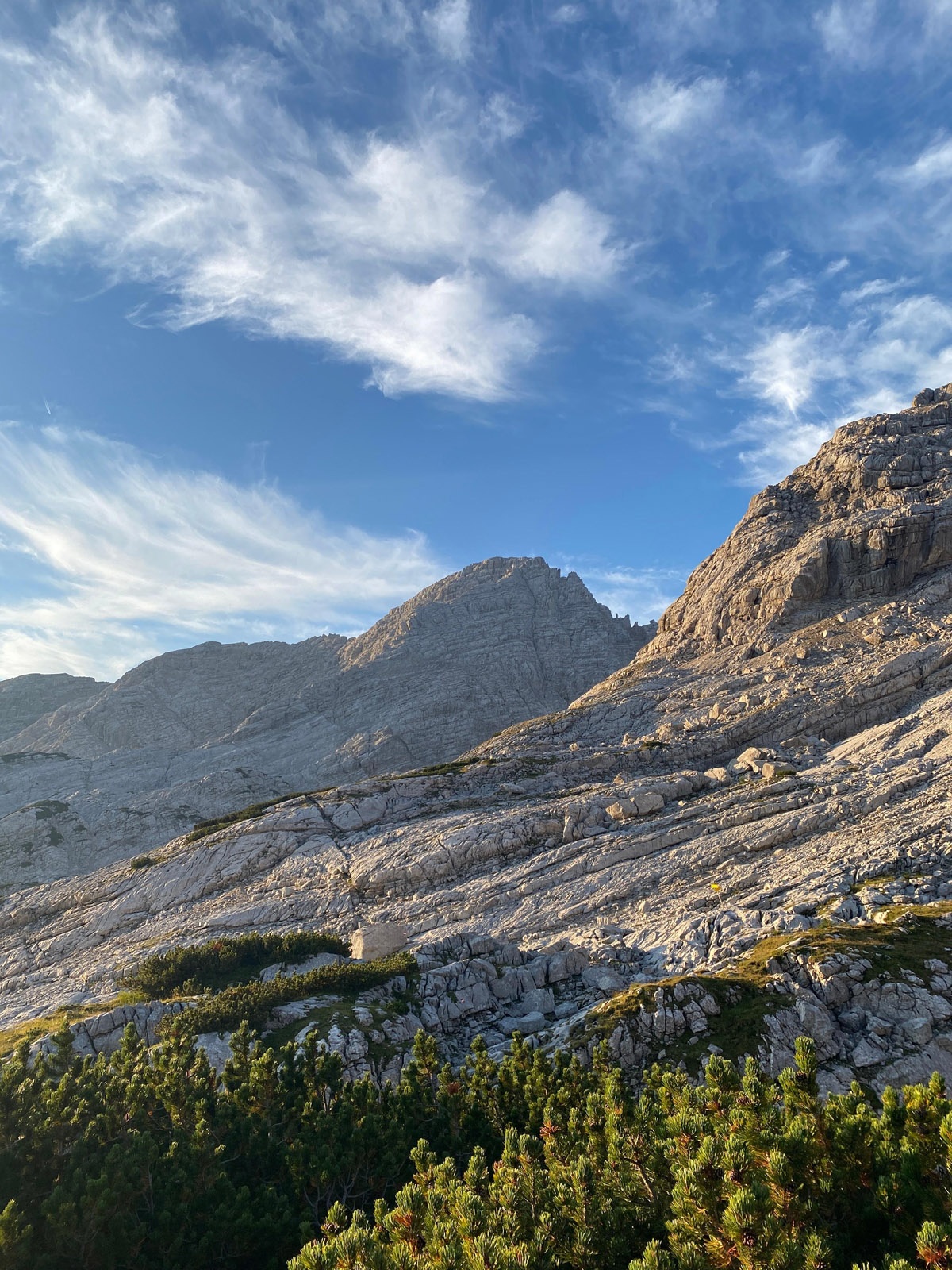 Mittig das große Ochsenhorn