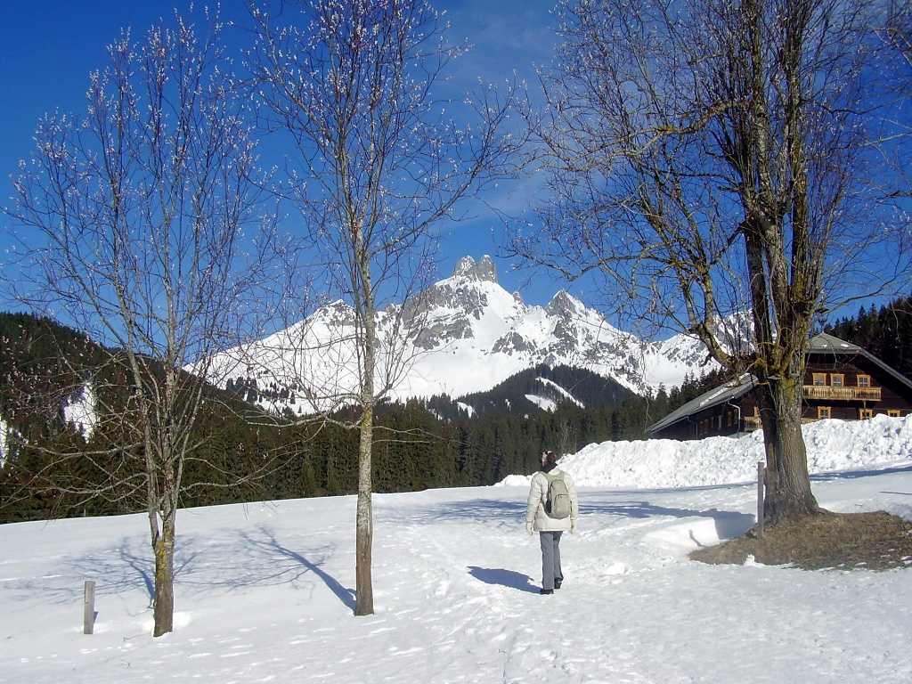 Palmkatzerl vor dem Wallehenhof und der Bischofsmütze.