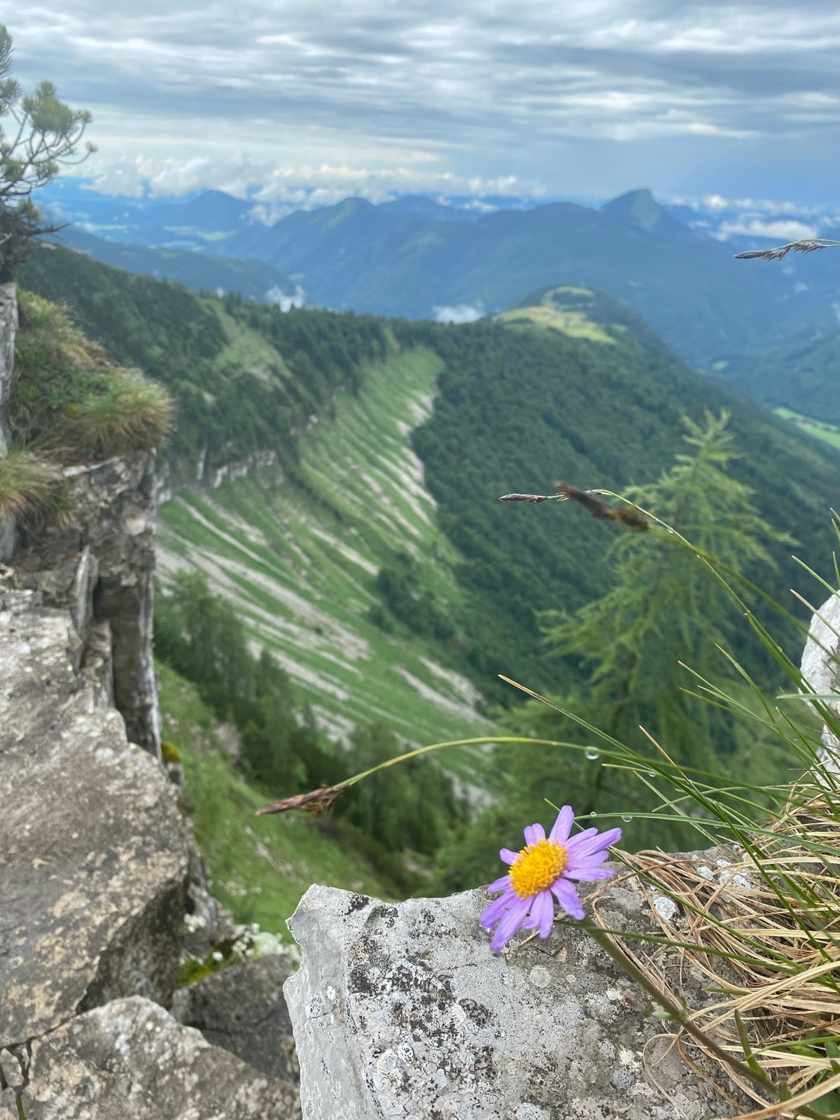 Tiefblick