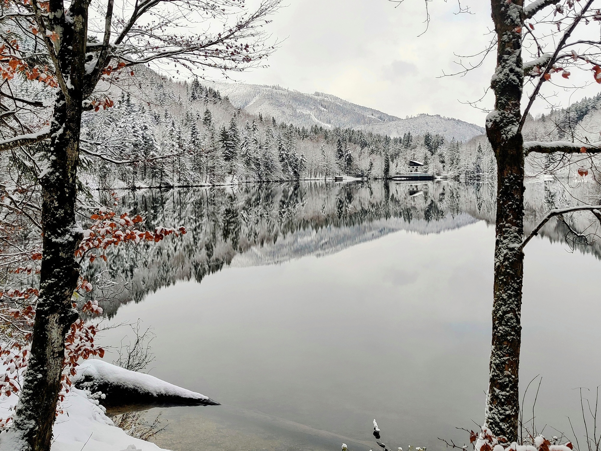 Über den Nussensee und die Ruine Wildenstein nach Bad Ischl