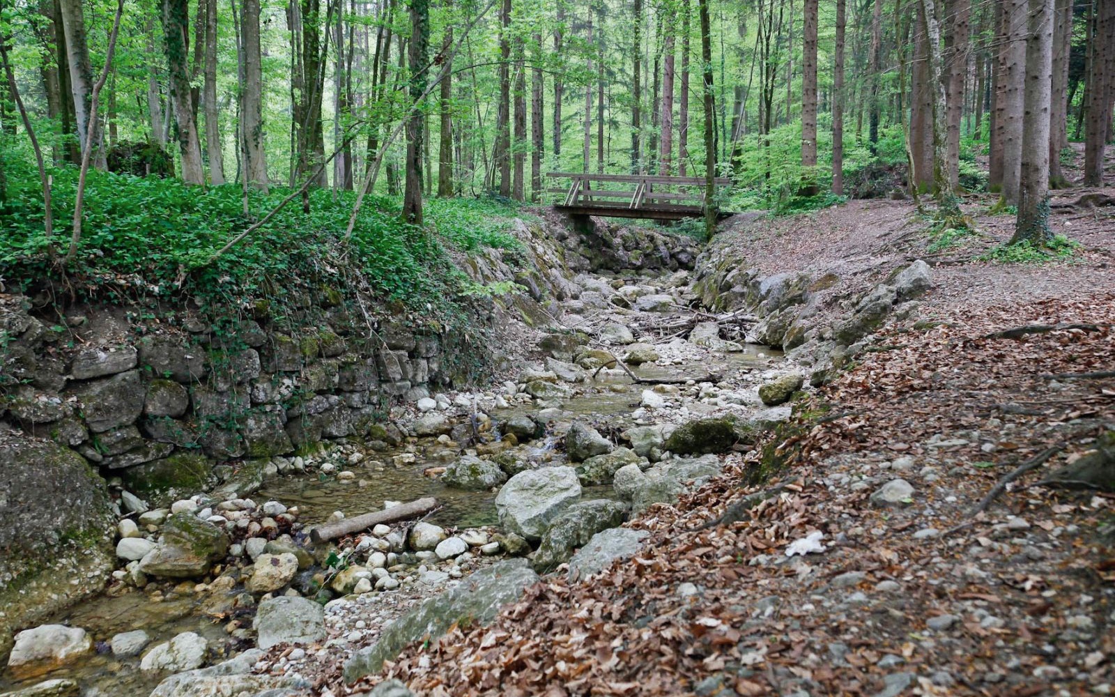 Verschlungene Wege im Aigner Park