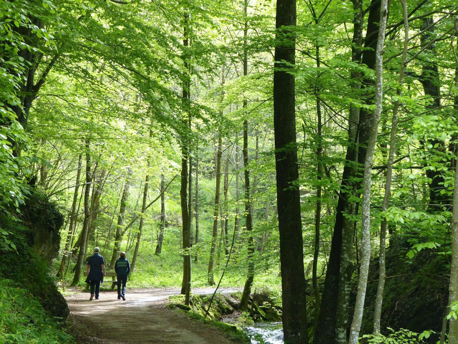 Am Weg zur Rumingmühle.