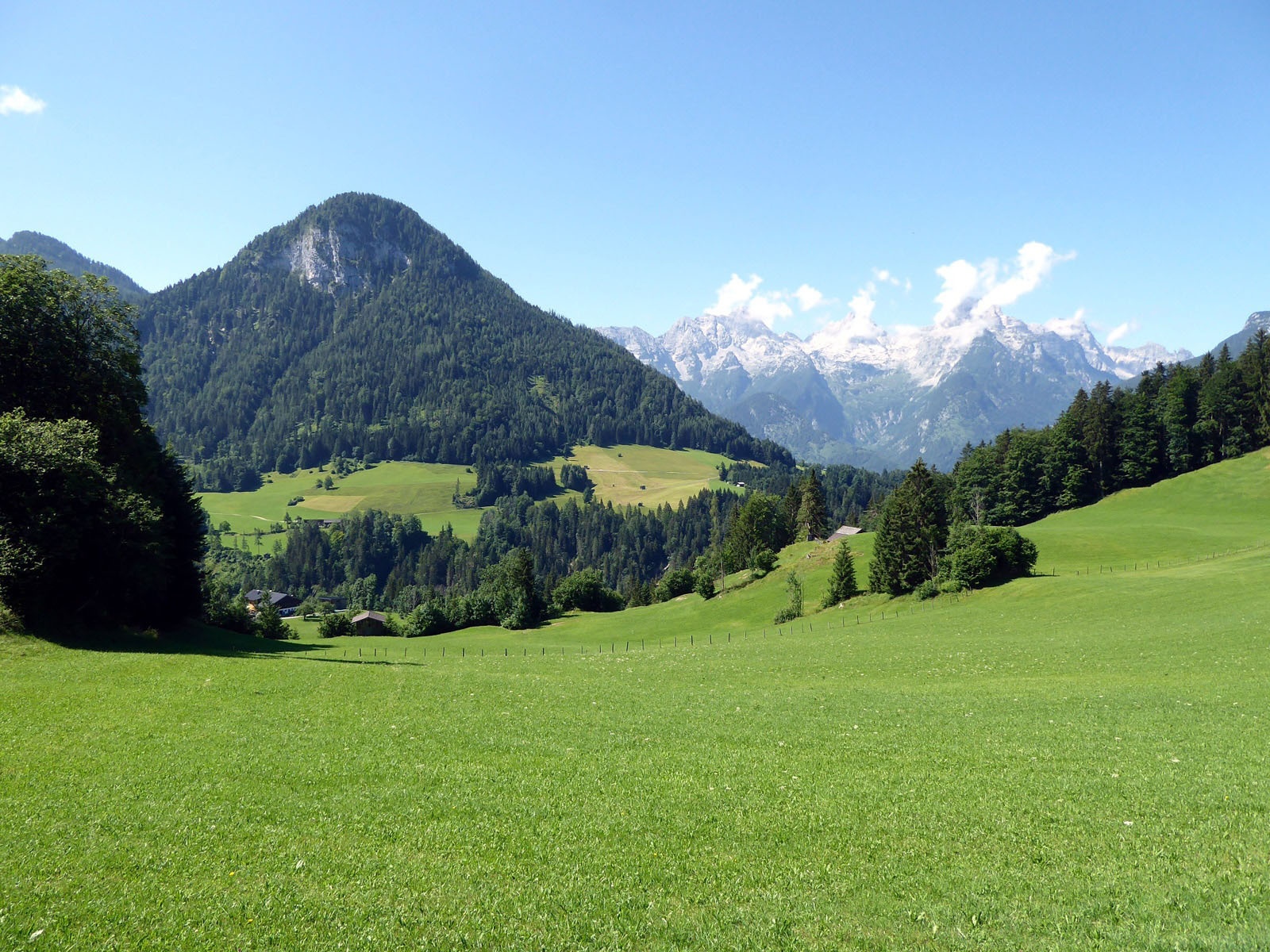 Am höchsten Punkt in Mayerberg mit Blick auf die Loferer Steinberge.