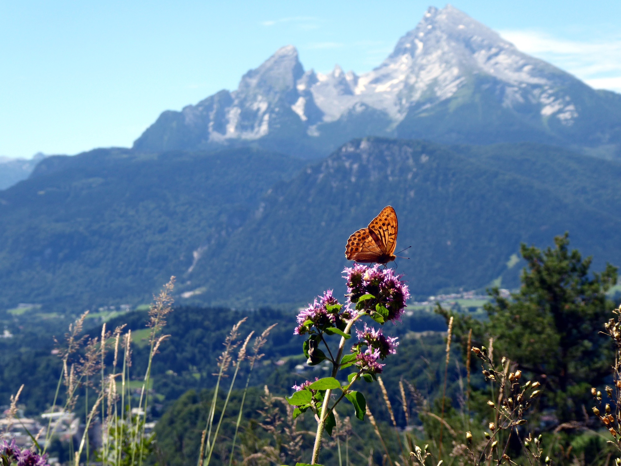 Eine federleichte Wanderung auf die Marxenhöhe mit Blick auf die Familie Watzmann.