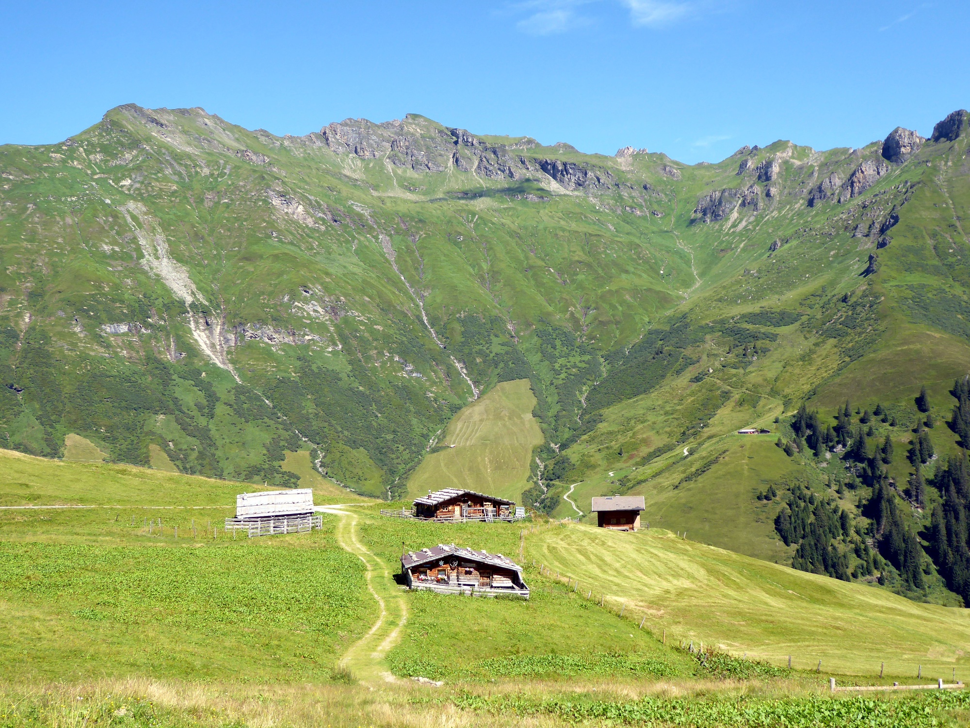 Im Gebiet der Gadauner Hochalm mit der Türchlwand im Hintergrund.