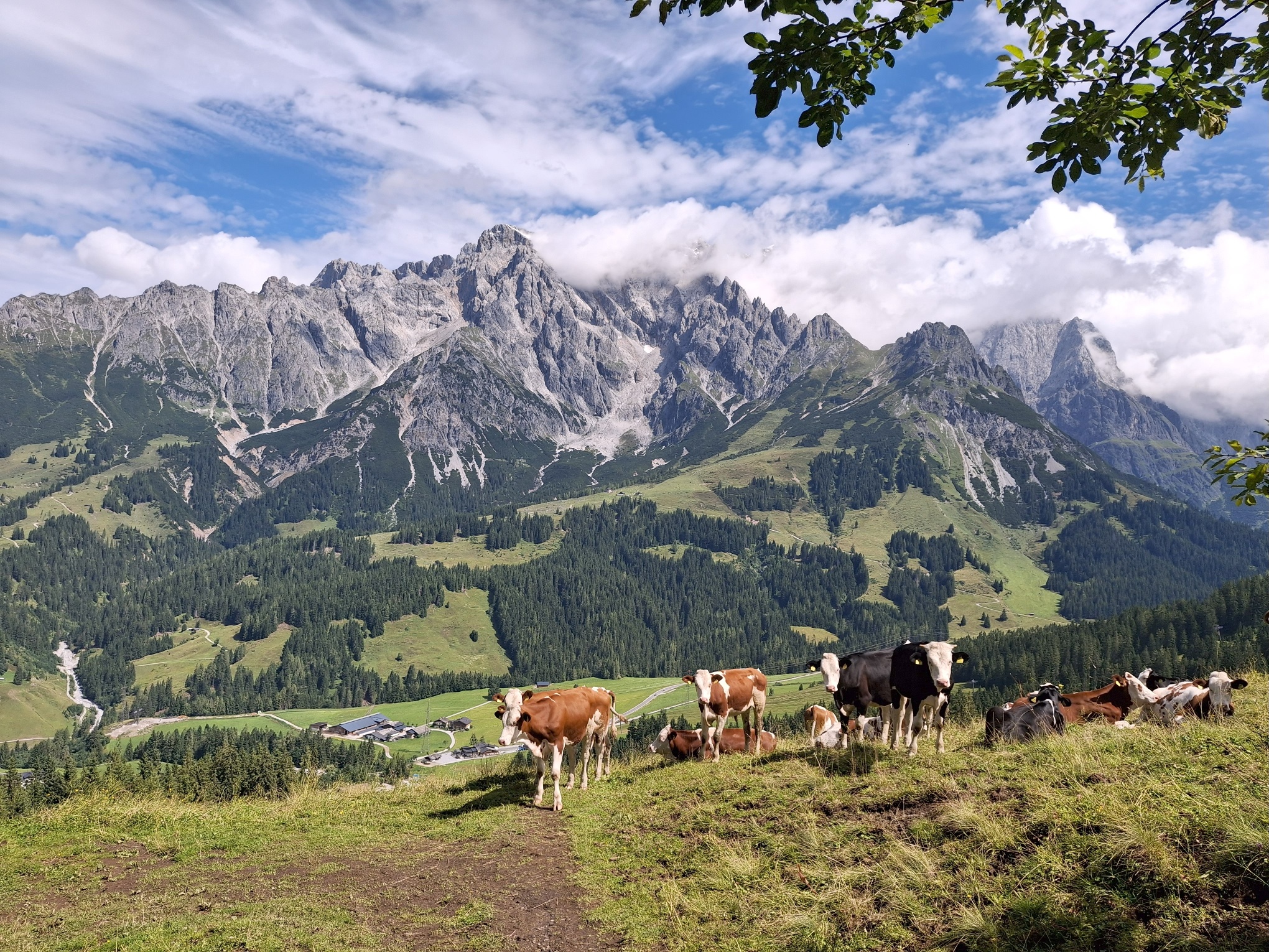 Rastplatz mit Blick auf den Hochkönig.
