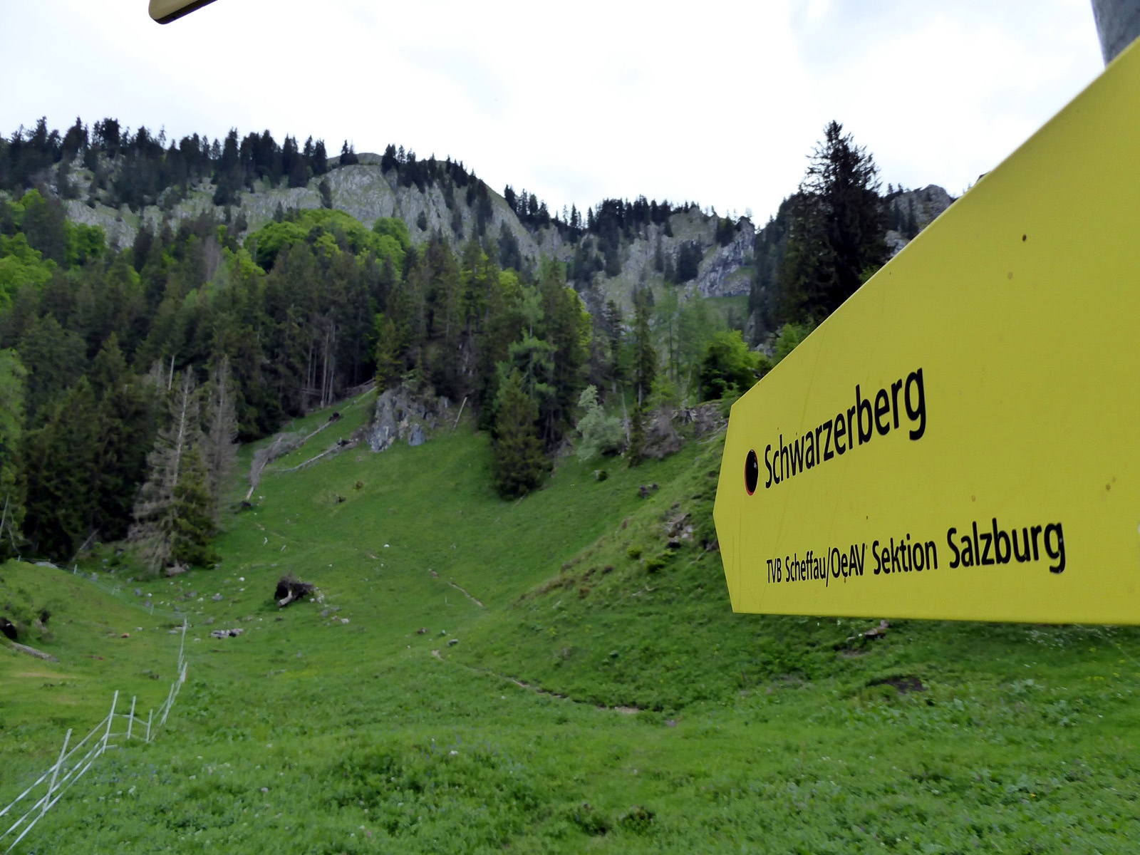 Ab der Lehngriesalm beginnt der schwierige, halbstündige Wegteil auf den Schwarzerberg.
