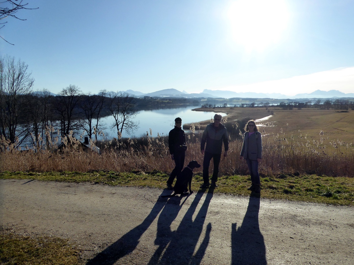 Der Wallersee vom Standpunkt Wierer aus gesehen.