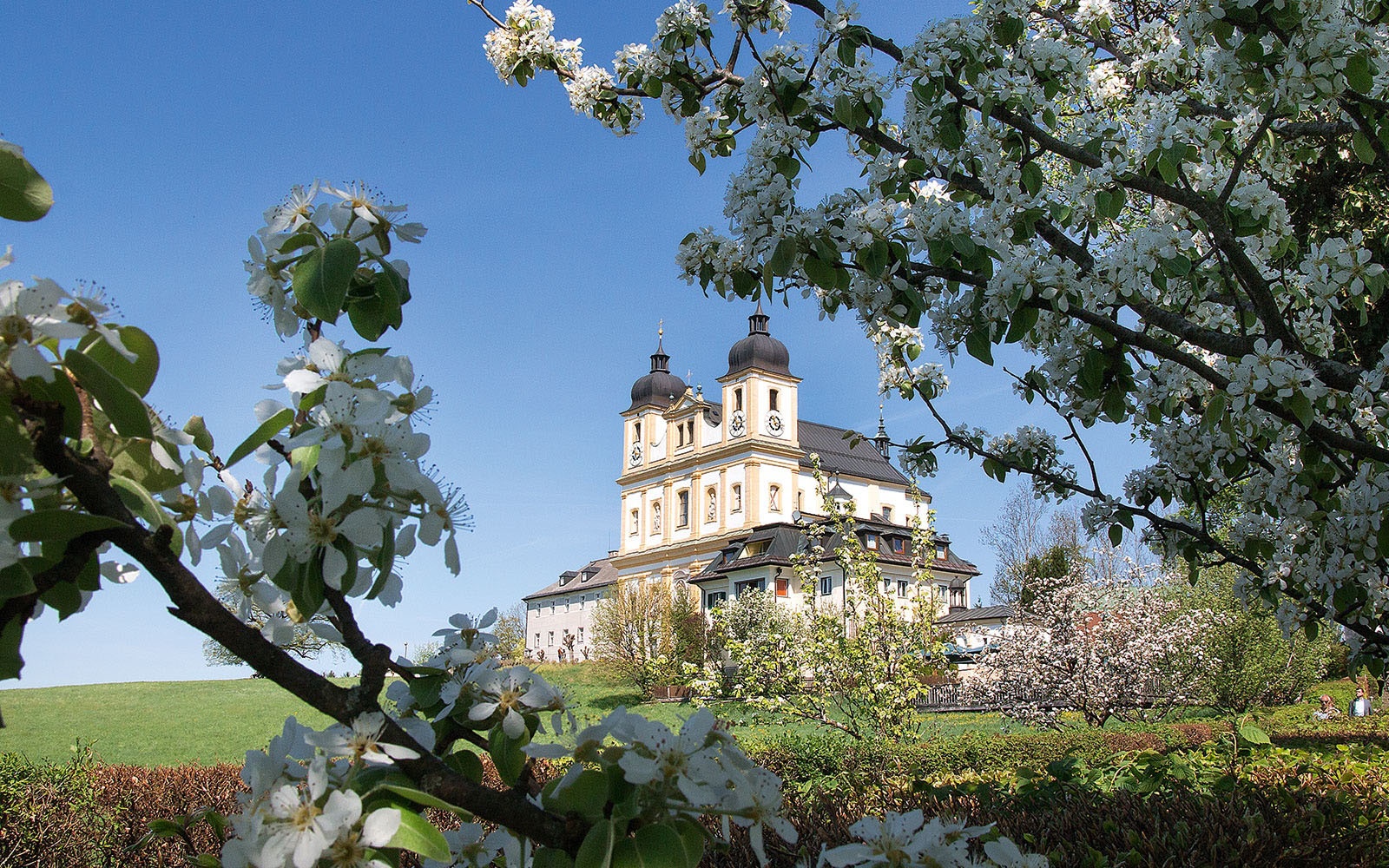 Aussicht auf Maria Plain