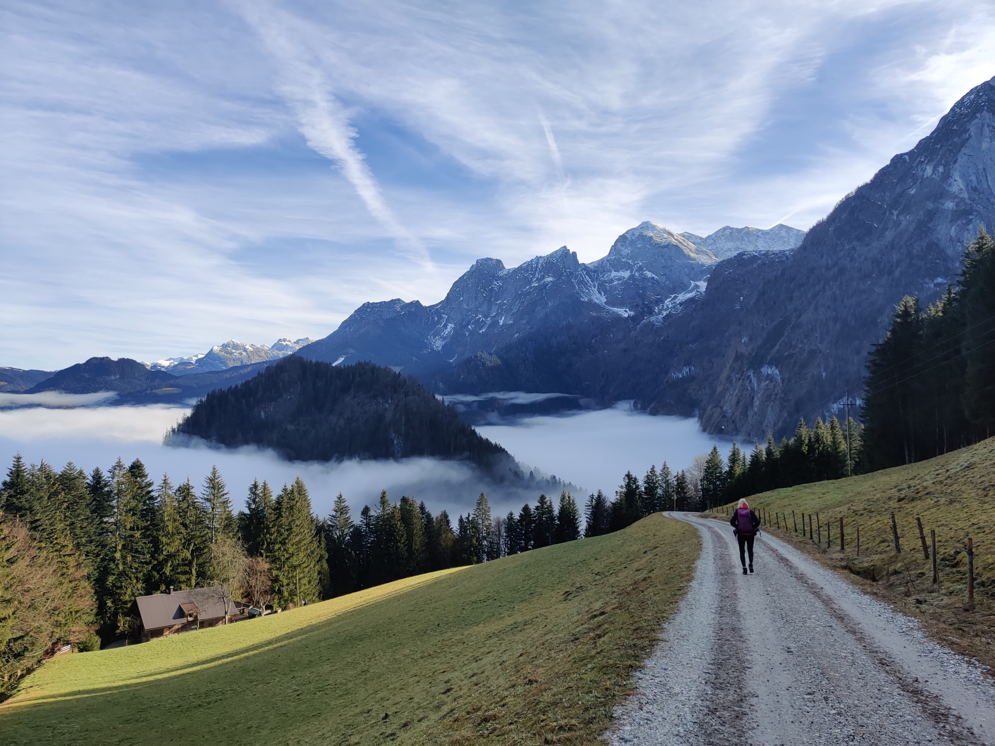 Box seat at the Rocherhöhe in Abtenau