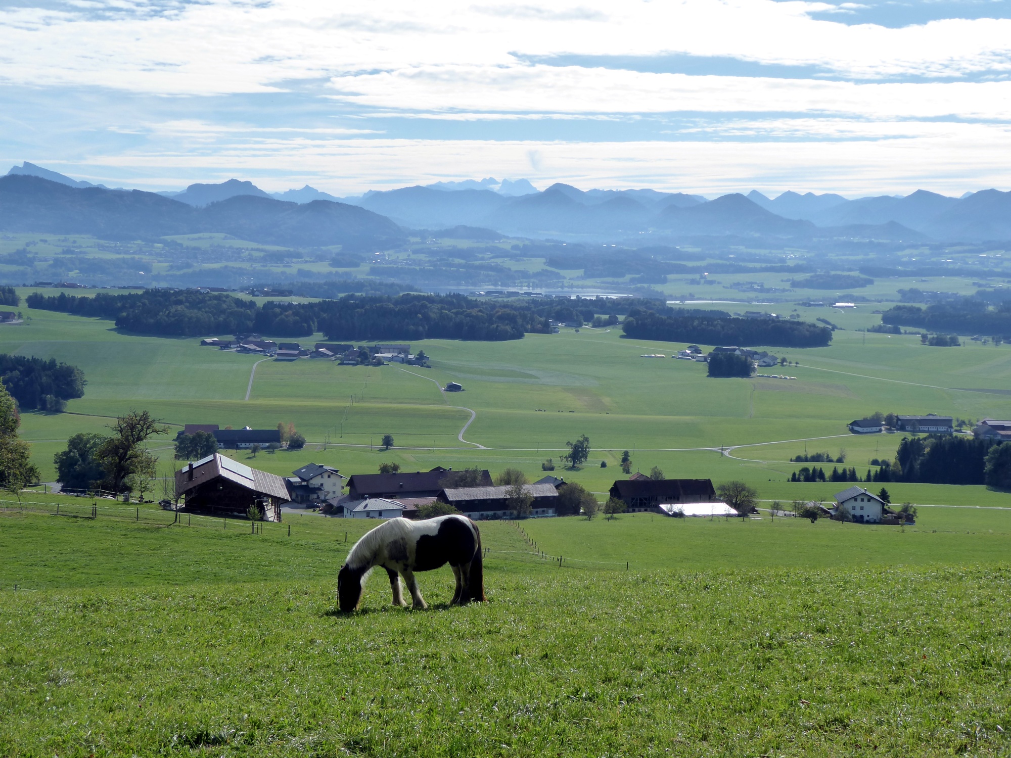 From the Buchberg, the transition from the gentle rolling hills to the rugged limestone Alps is especially impressive.
