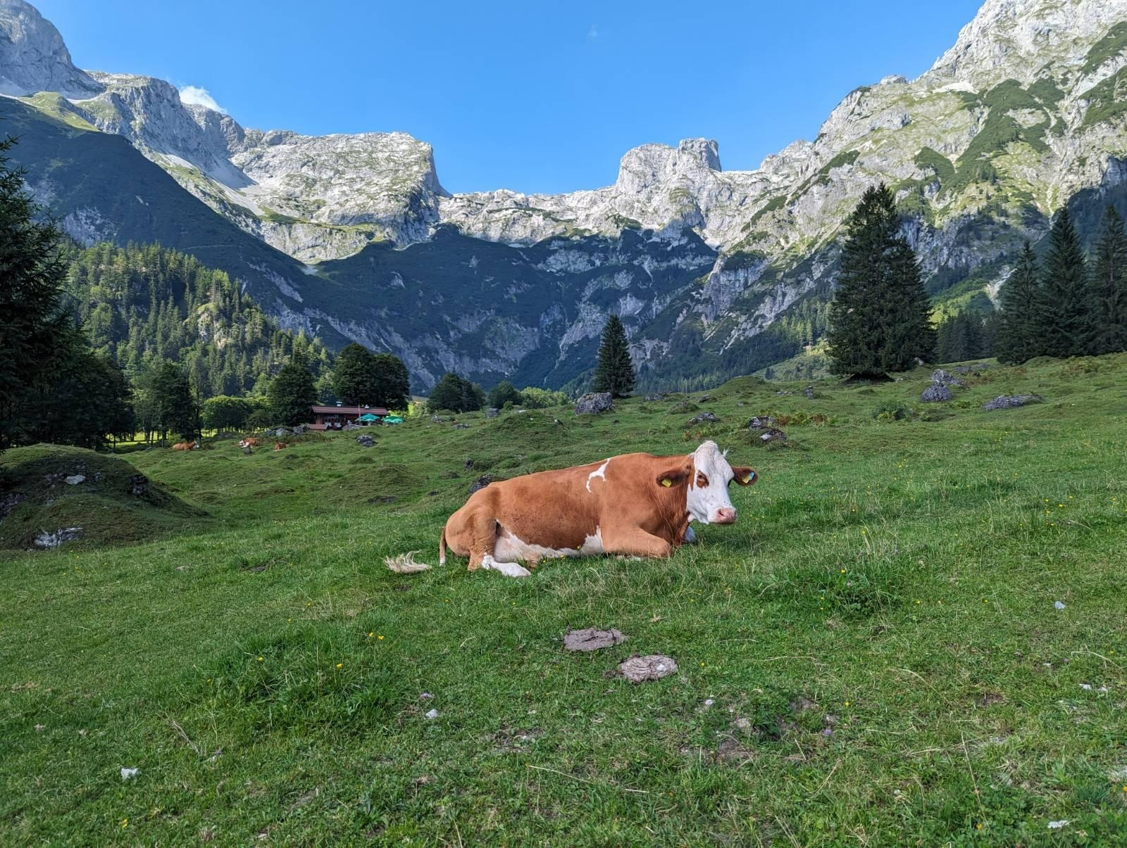 Mountain route to the Dr. Heinrich-Hackel-Hütte in the Tennengebirge/Werfen