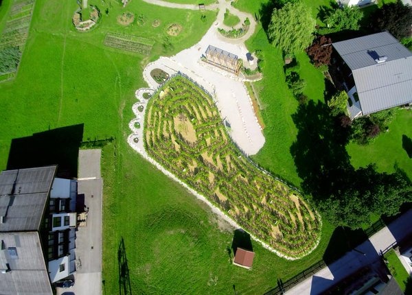 Nationalpark Hohe Tauern: So schmeckt die Natur & Ökologischer Fußabdruck