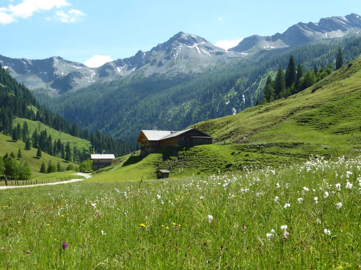 The Hub-Grundalm with a view of the Ankogel group.