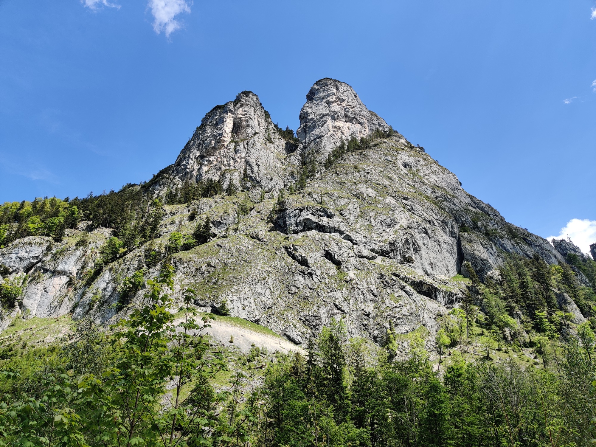 The two rock formations of the Sparber are best seen from the alpine pasture between it and the Bleckwand.
