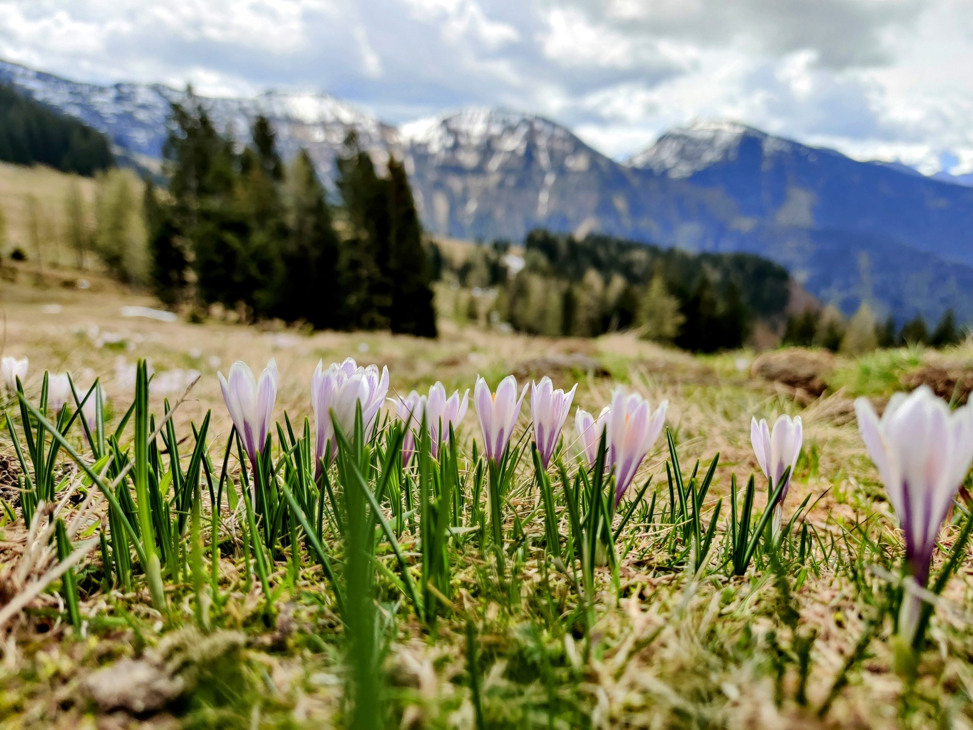 Water routes from Hintersee to the Ladenbergalm and the Bergalm