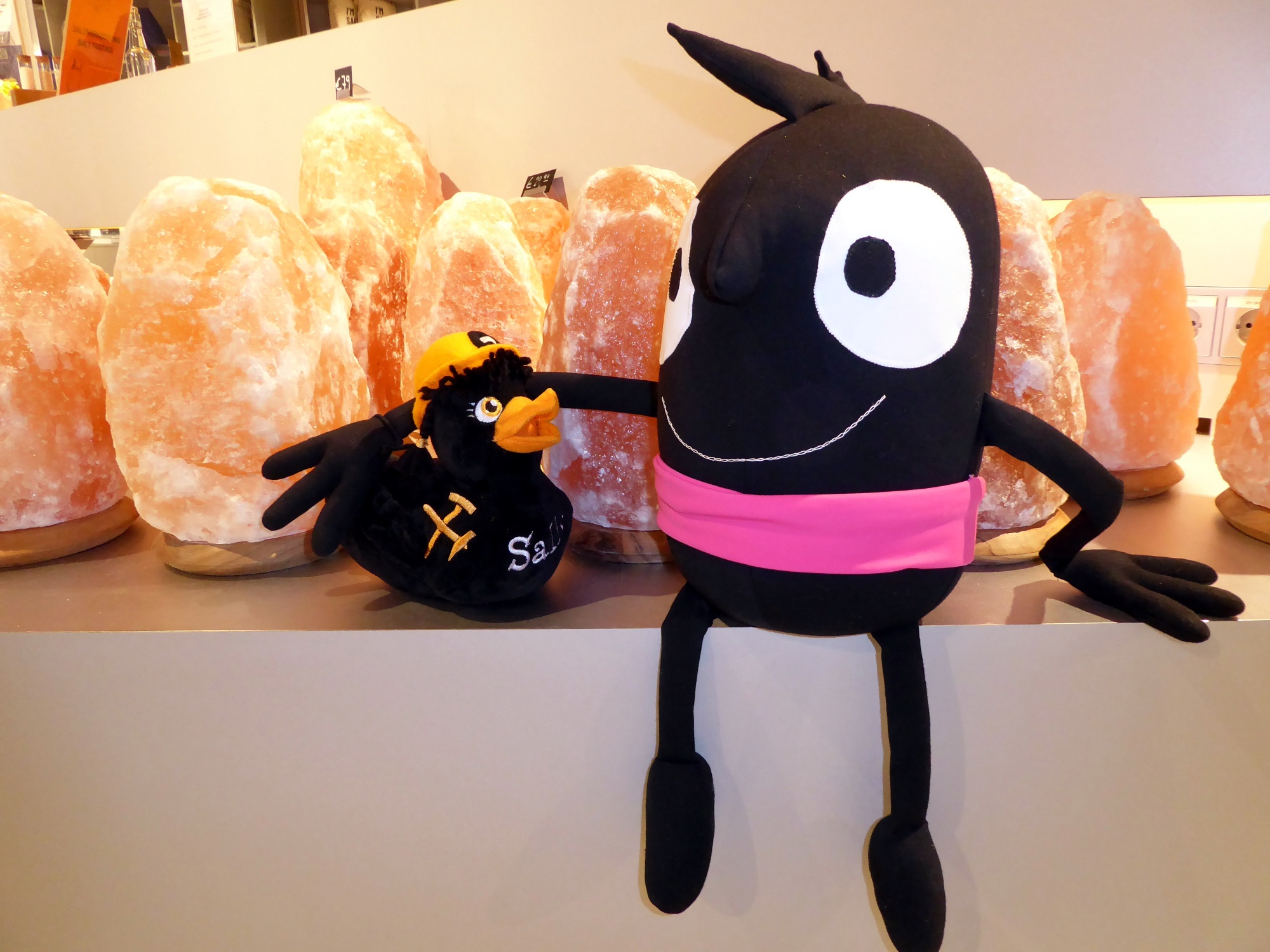 In the salt worlds at Dürrnberg, Edgar meets Sally, the clever mine duck.