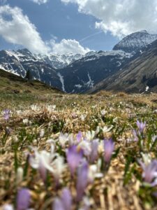 Malerische Wanderung in Sportgastein