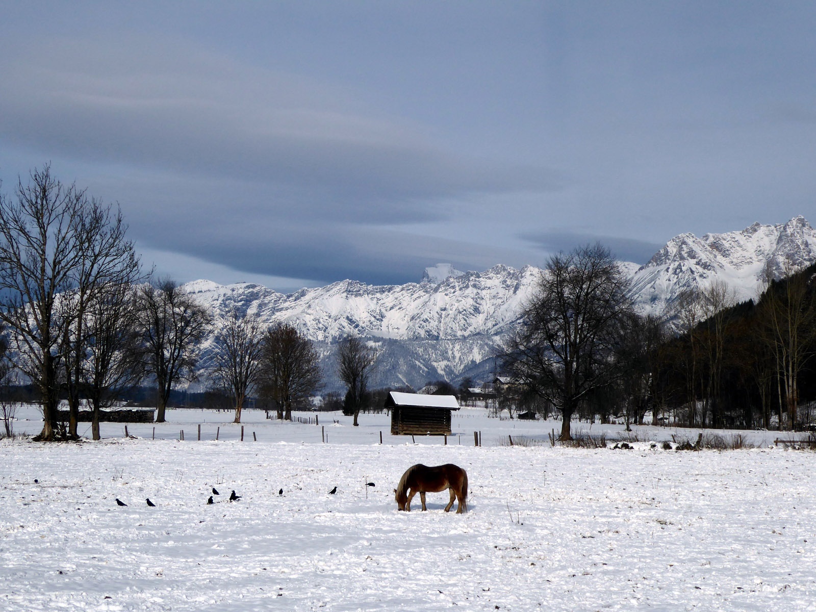 On the way to Lake Zell with a view of the Steinernes Meer.