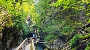 Seisenbergklamm – Naturparadies zum Entdecken