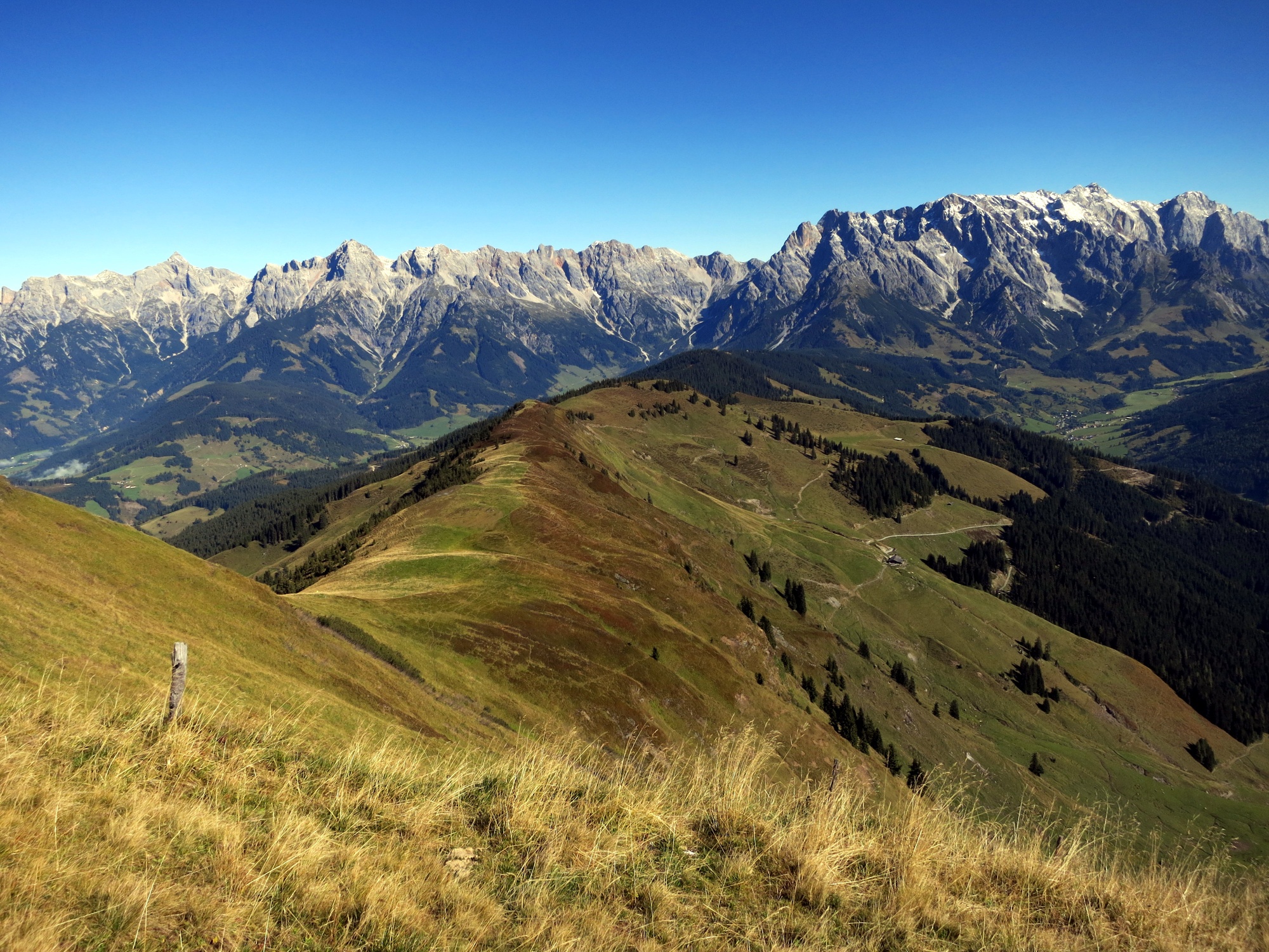 The ascent from Marbachhöhe to Klingspitz follows the broad grassy ridge.