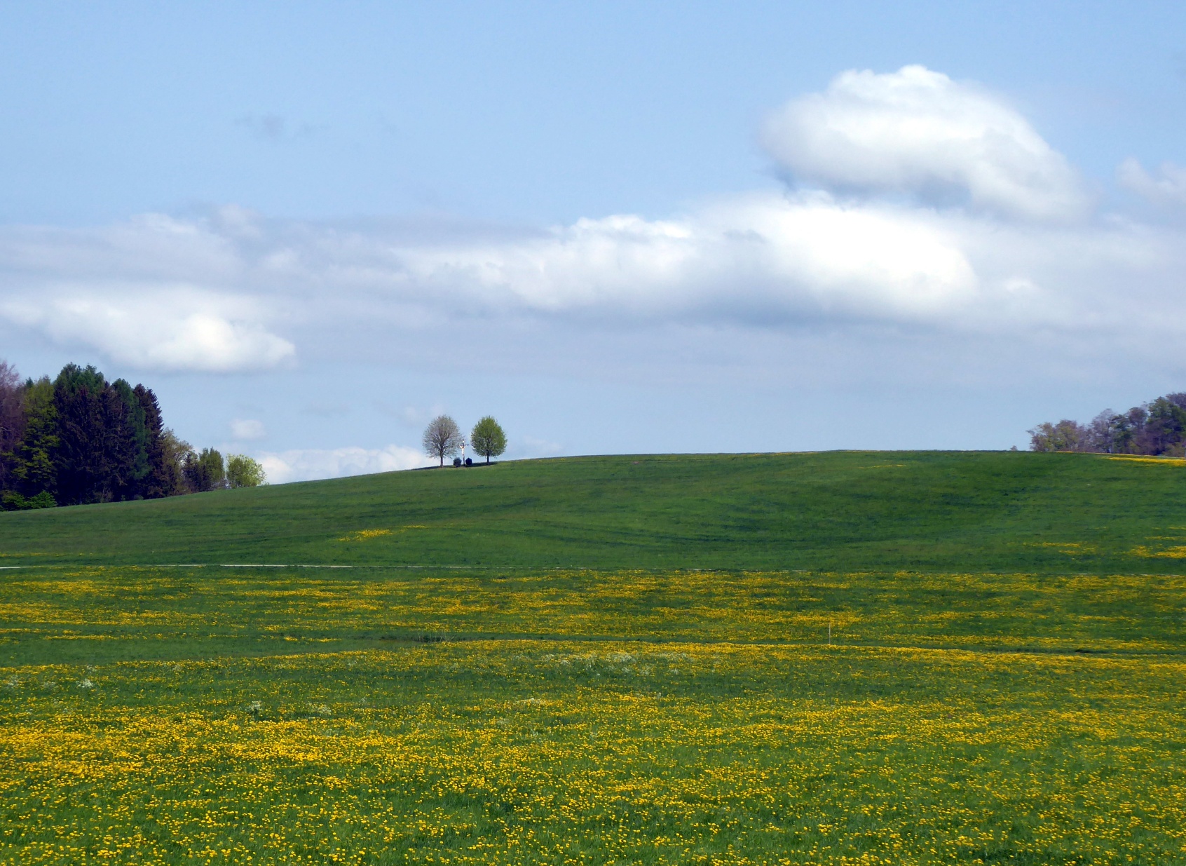 The route leads through a picture-perfect landscape to the bird paradise Egelsee.