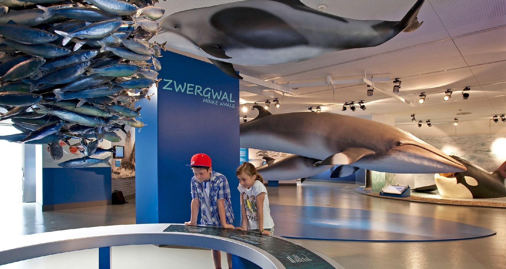 Haus der Natur