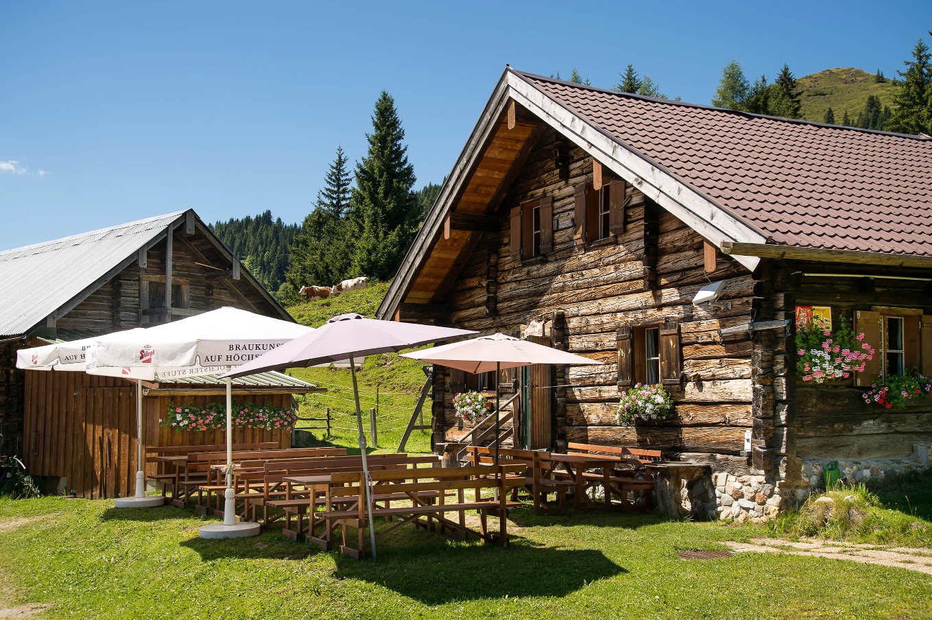 Moosalm außen