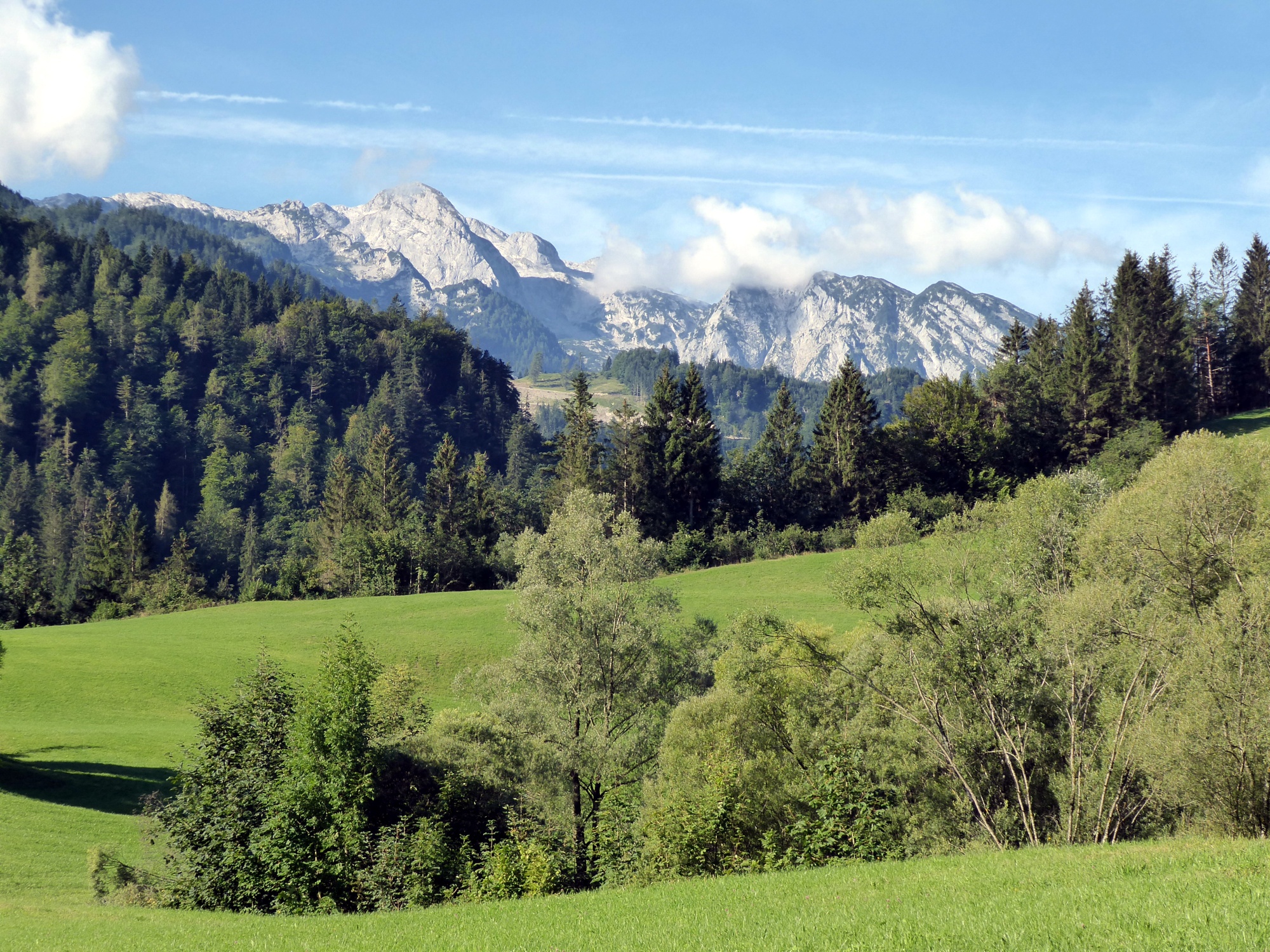 View of the northern Tennengebirge with the Wieselsteinen.