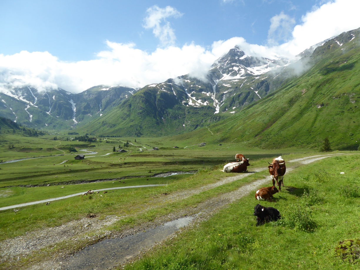 Arrived at the destination in Sportgastein. Many more hiking trails are available to choose from in Naßfeld.