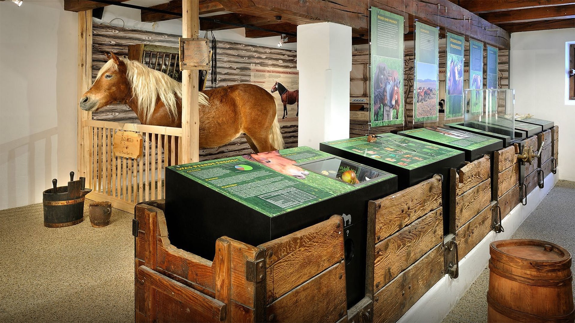 Exhibition at Noriker Museum Niedernsill