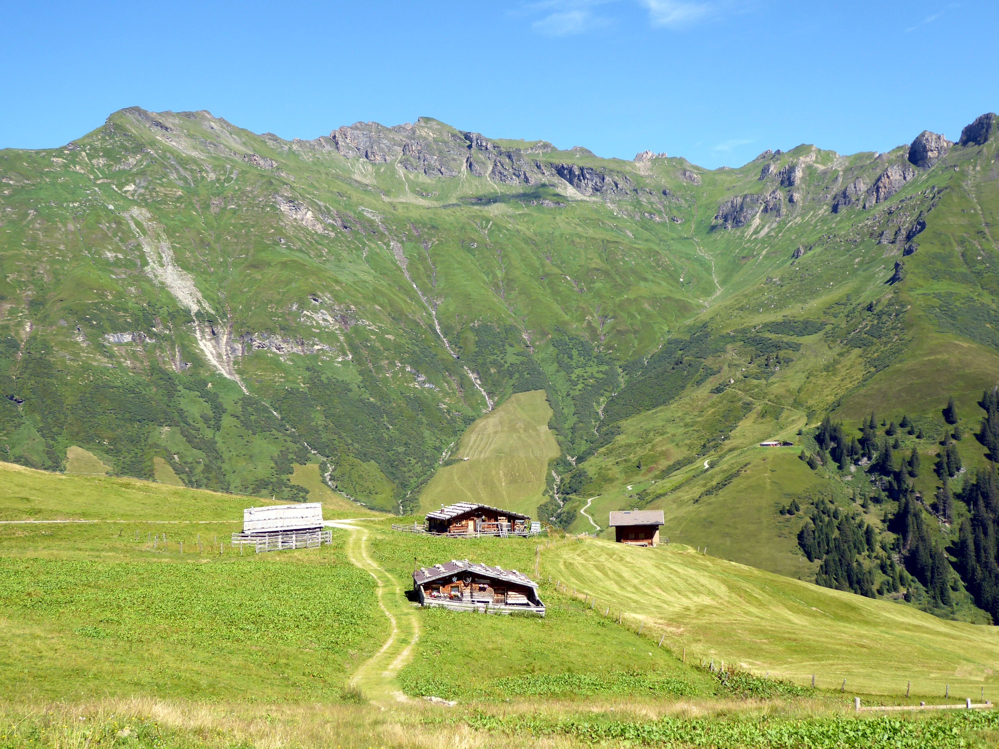 Im Gebiet der Gadauner Hochalm mit der Türchlwand im Hintergrund.