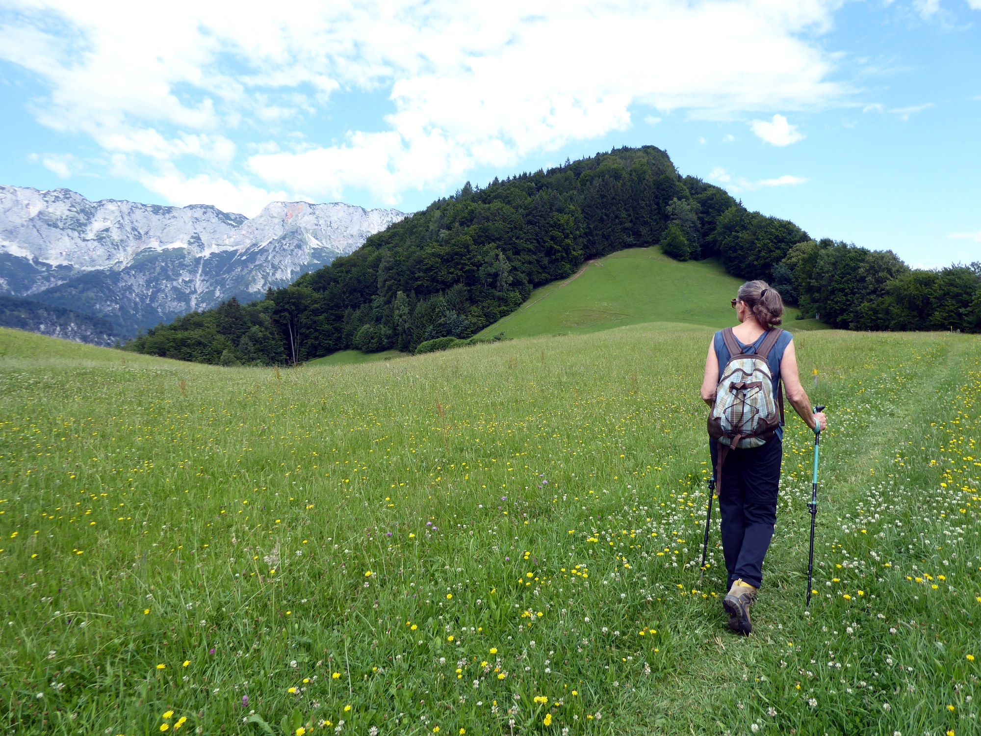 Limitless hiking with views of Götschen and Untersberg.