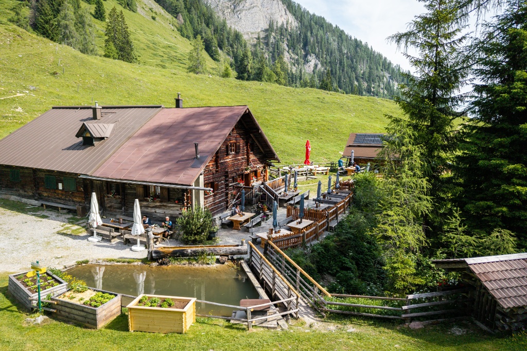 Niggeltalalm