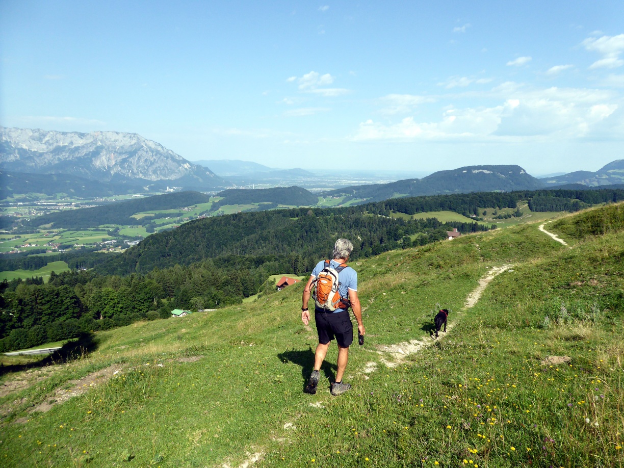 Sunny views on the Krispler Höhenweg.