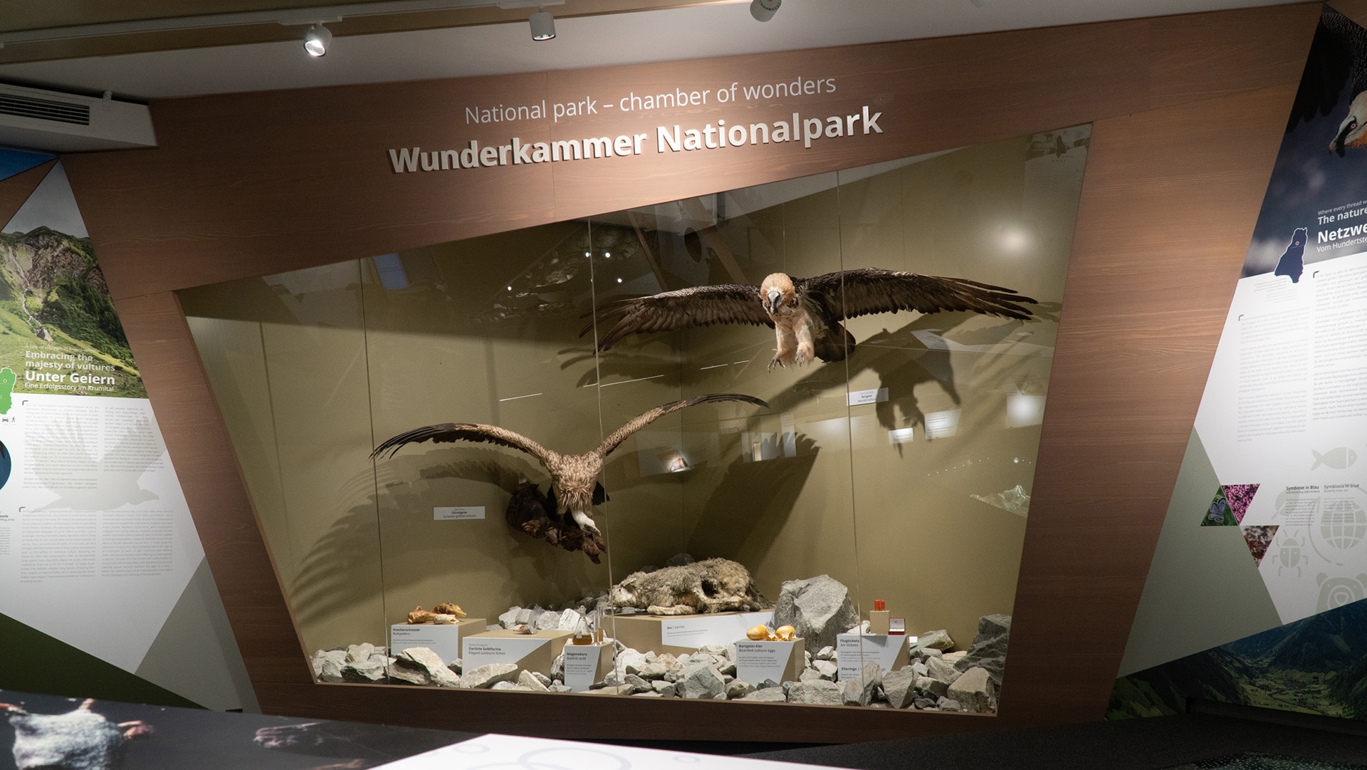 Wunderkammer Nationalpark in der Ausstellung "Im Facettenreich"