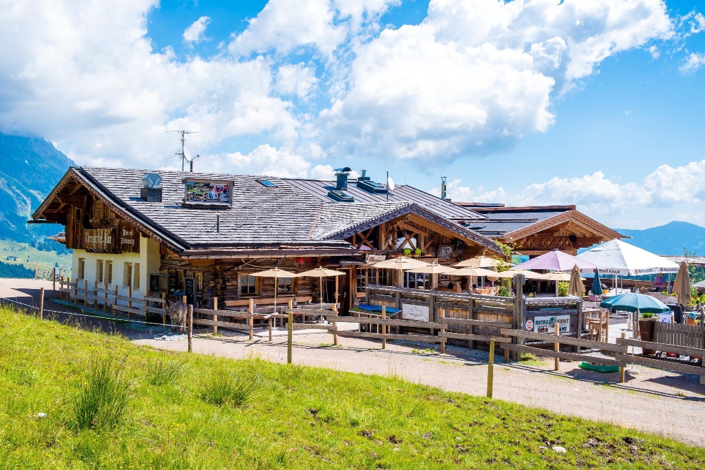 Tiergartenalm Sommer