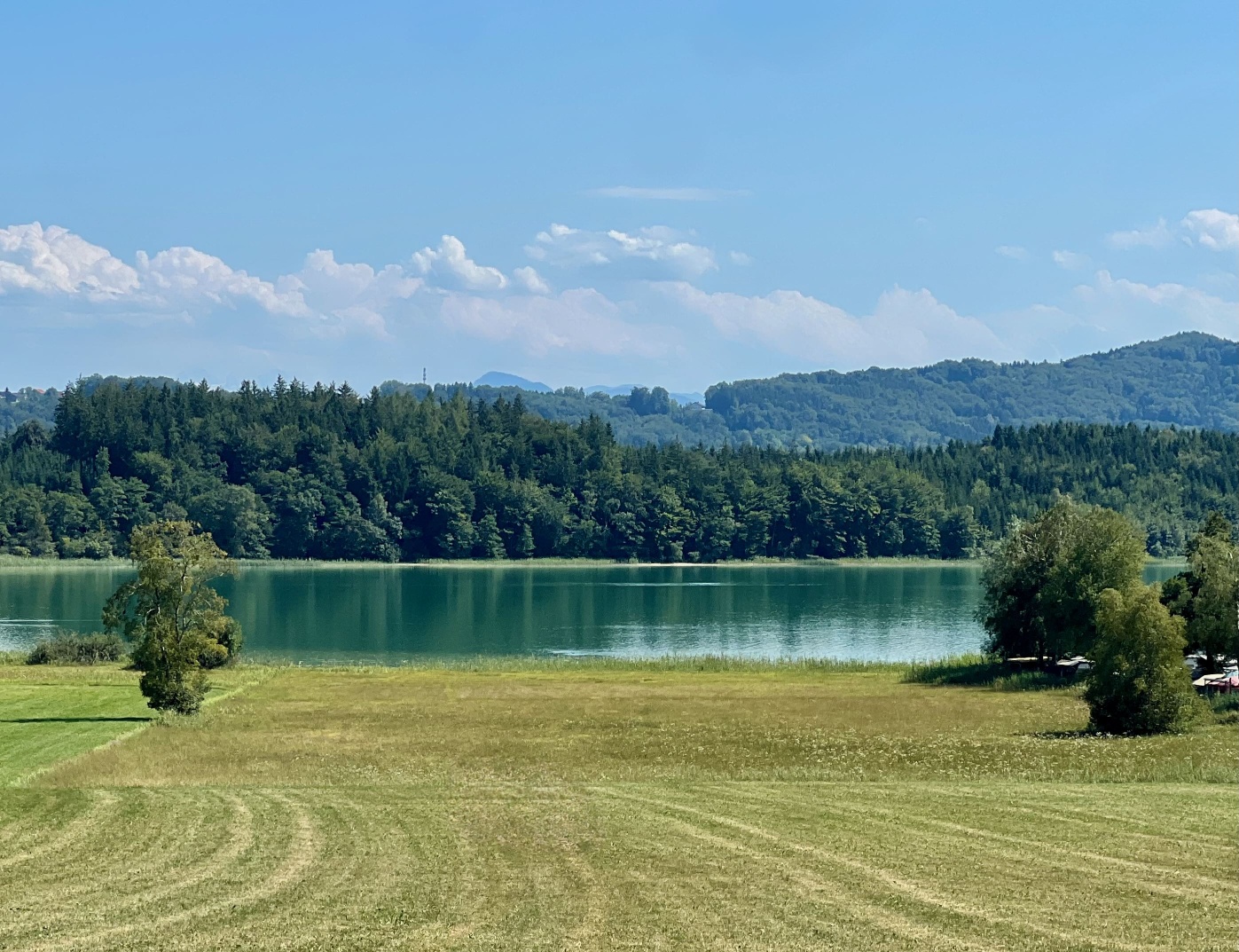Frisch gemähtes Feld, im Hintergrund der Grabensee
