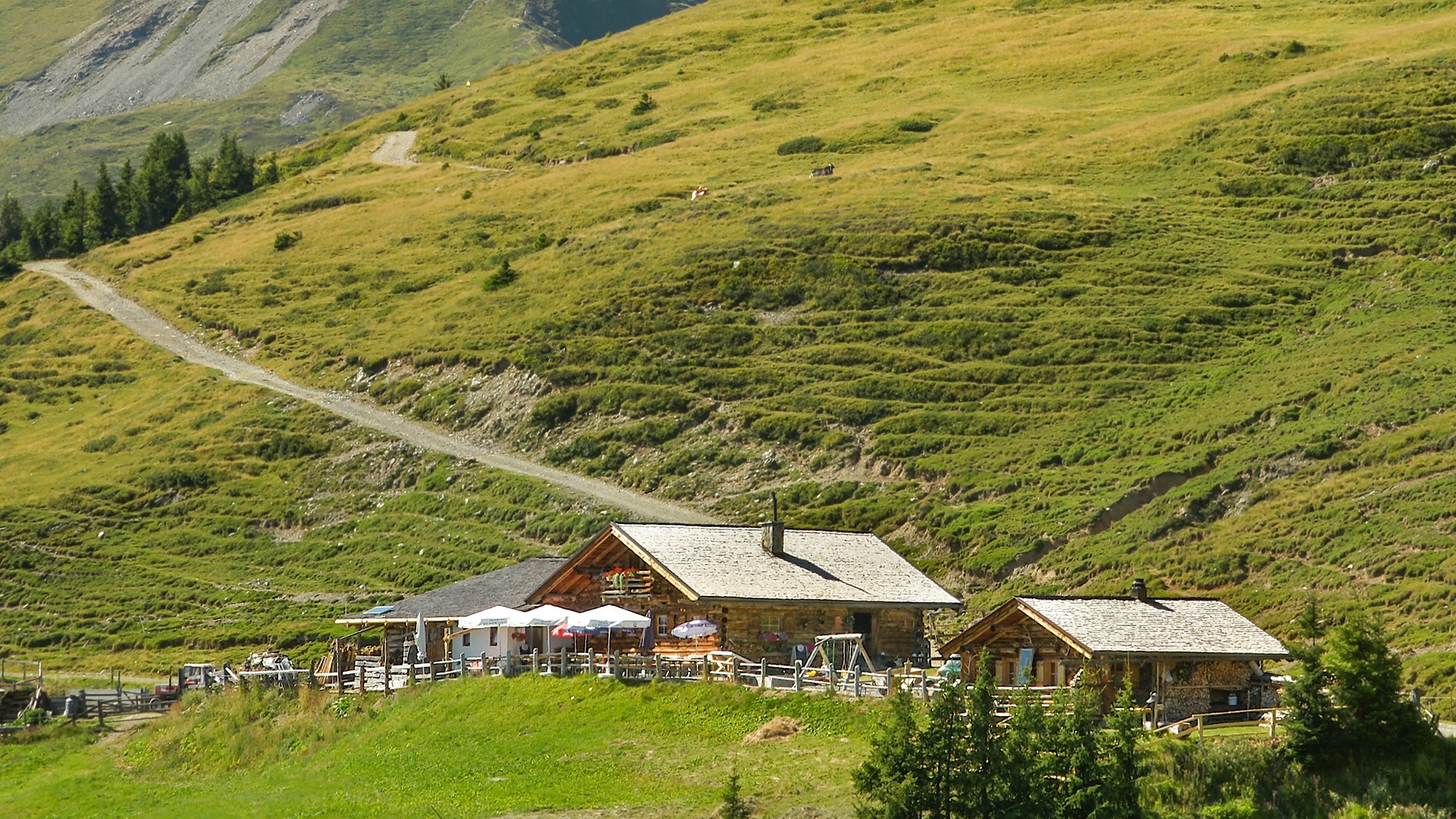 Hochsonnbergalm on Piesendorfer Hochsonnberg