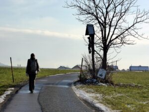 Zwischen Arnsdorf und Gunsering.