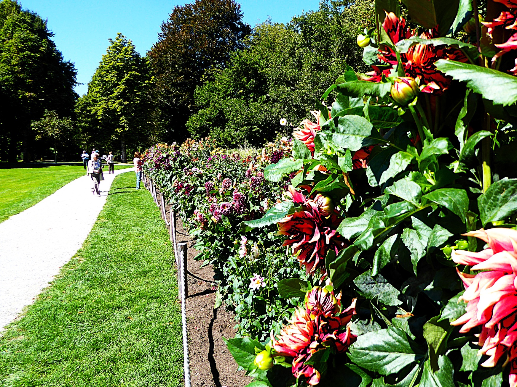 Die Gärtner:innen von Hellbrunn verzaubern den Park zu jeder Jahreszeit.