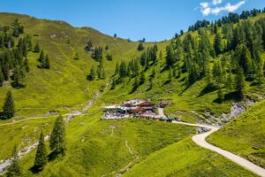 Loosbühelalm Sommer