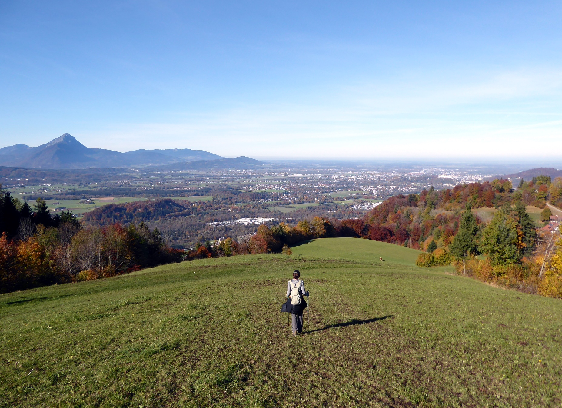 Wunderbar sonnig und aussichtsreich führt der Weg von der Erentrudisalm zum Zielpunkt Glasenbach.